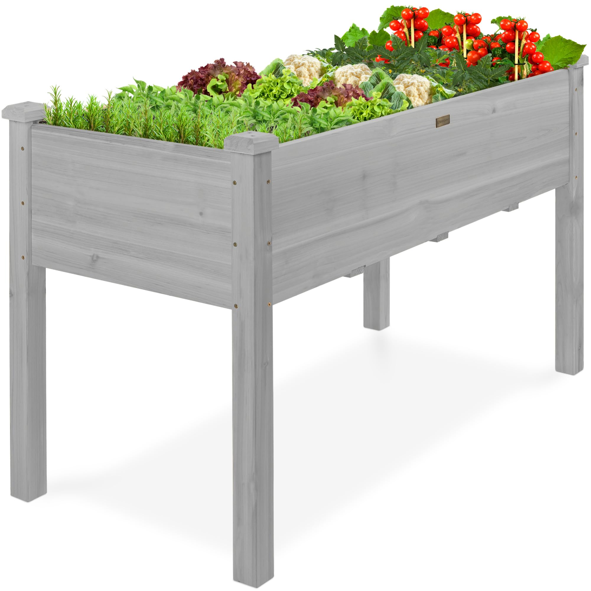 Best Choice Products 48 x 24-Inch Raised Garden Bed