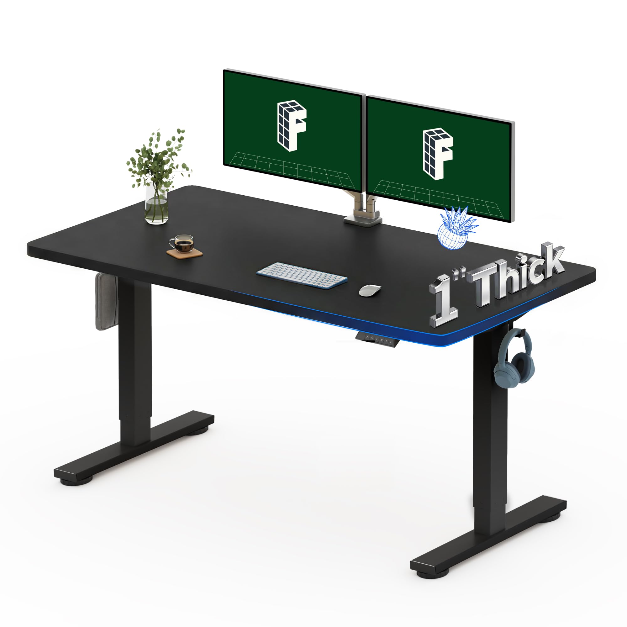 FLEXISPOT 55 x 28-Inch Electric Standing Desk
