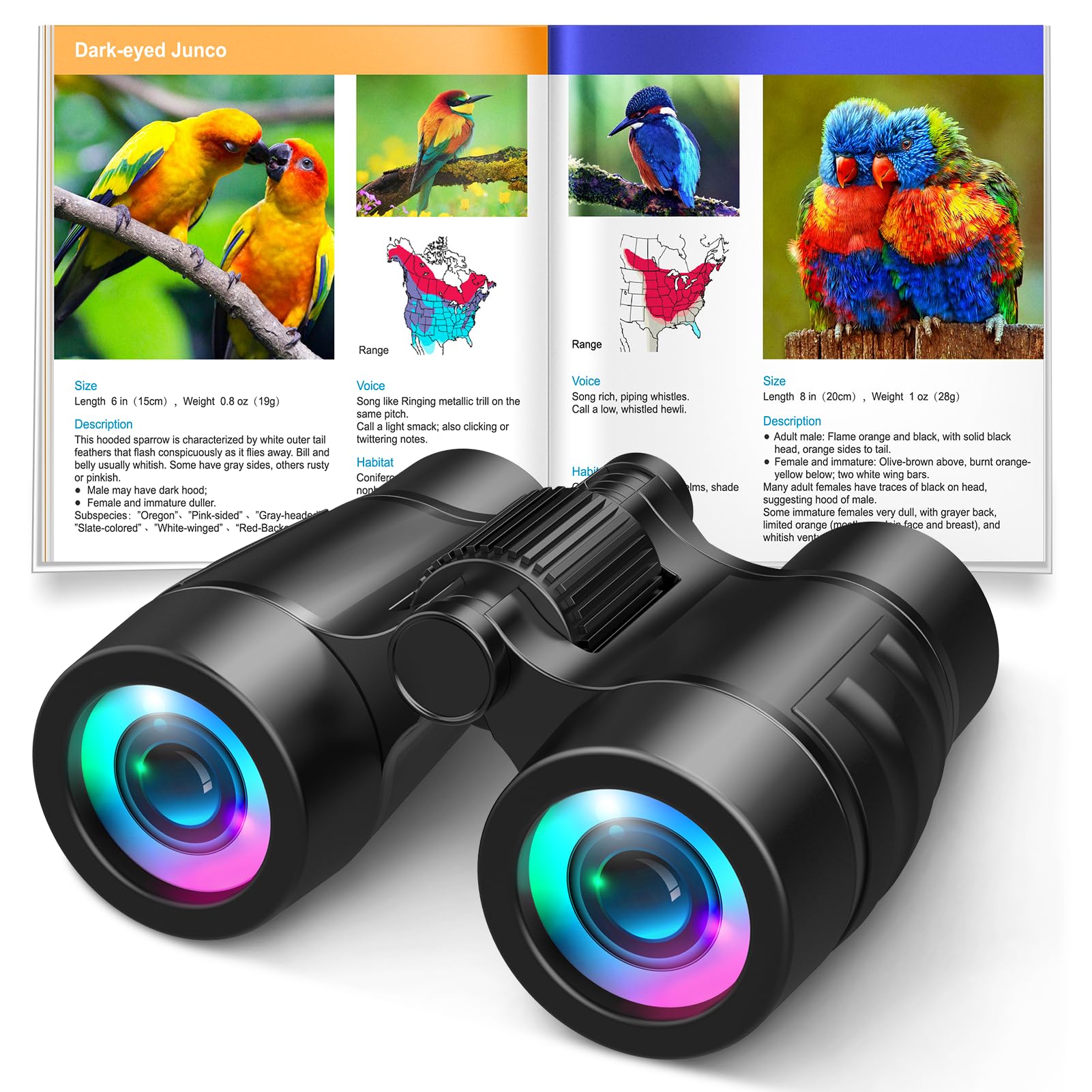 Kids 4x30 Binoculars with Bird Manual