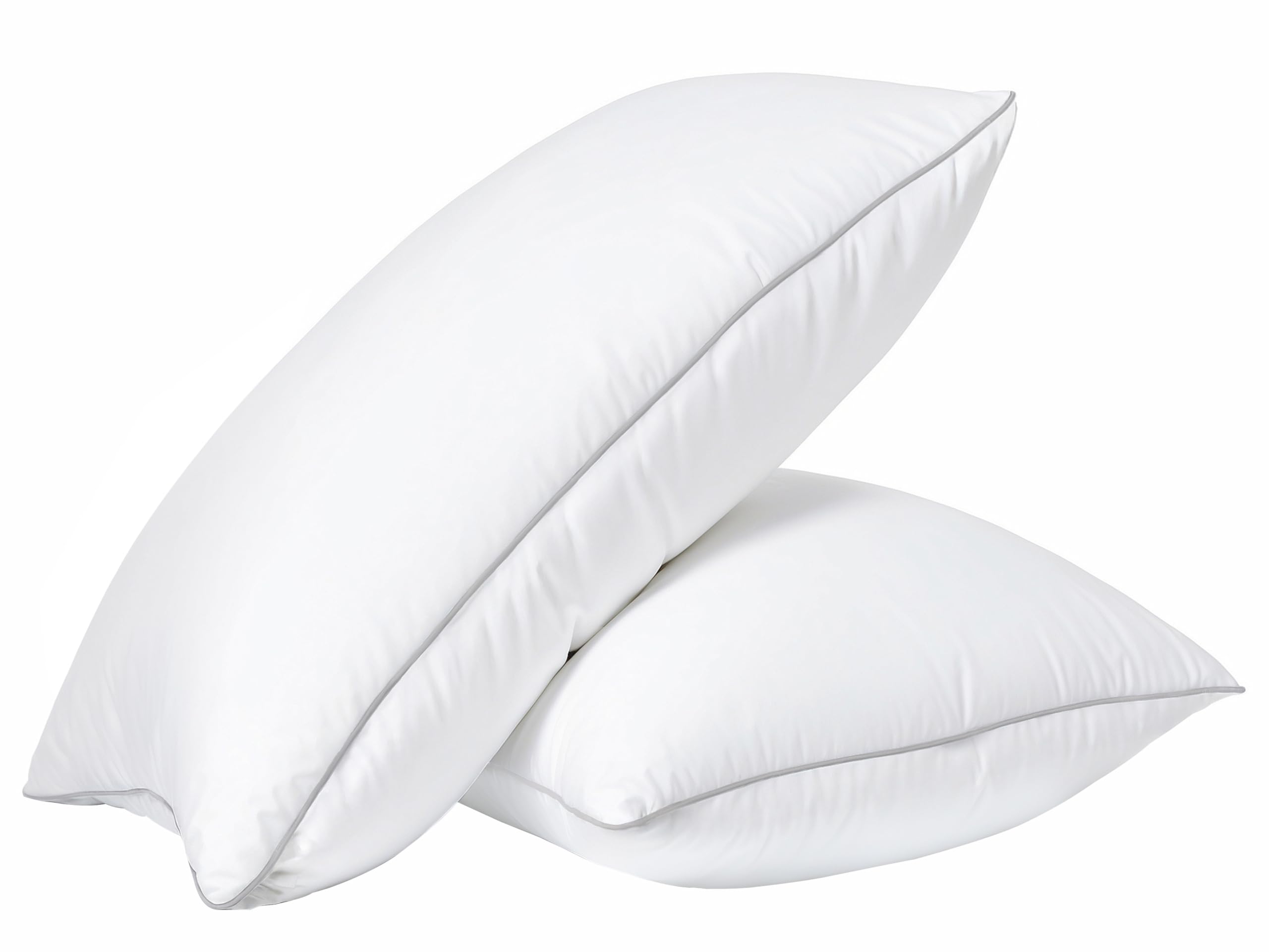 Casa Platino King Bed Pillows, Set of 2