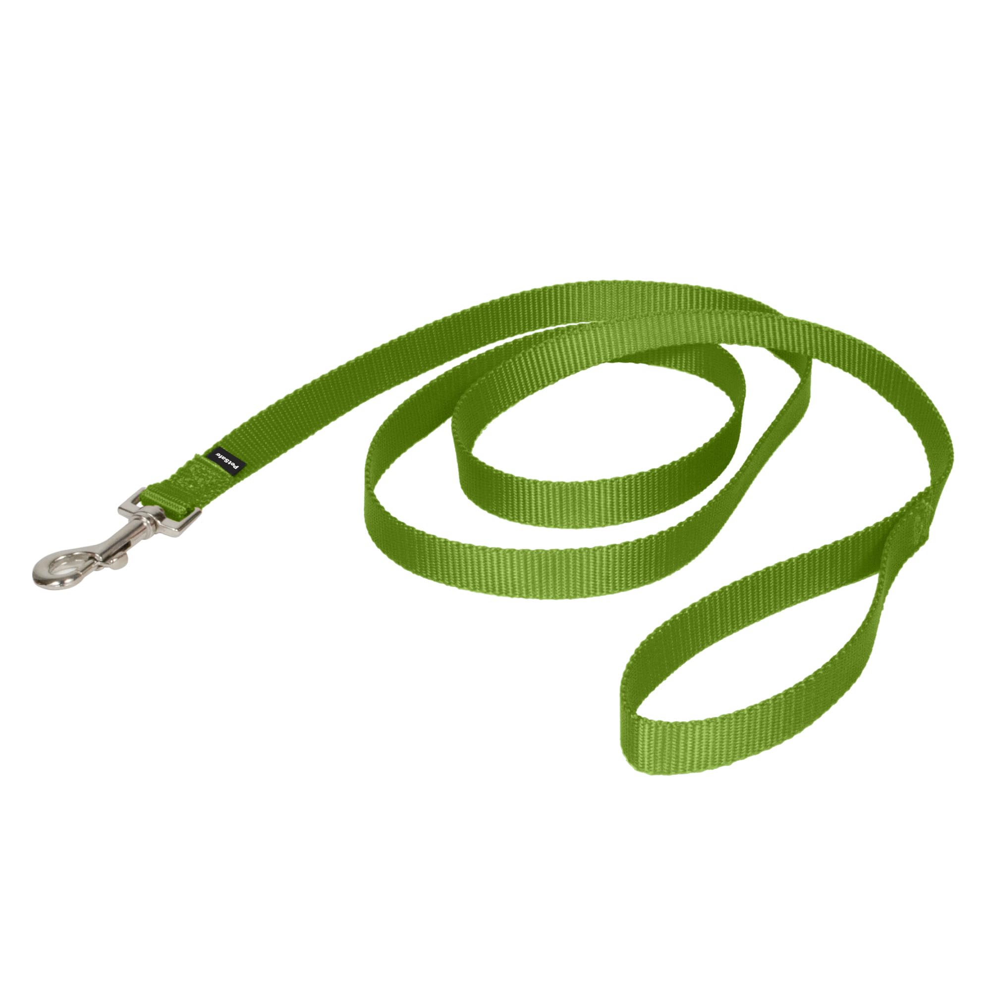 PetSafe Nylon Dog Leash, Apple Green