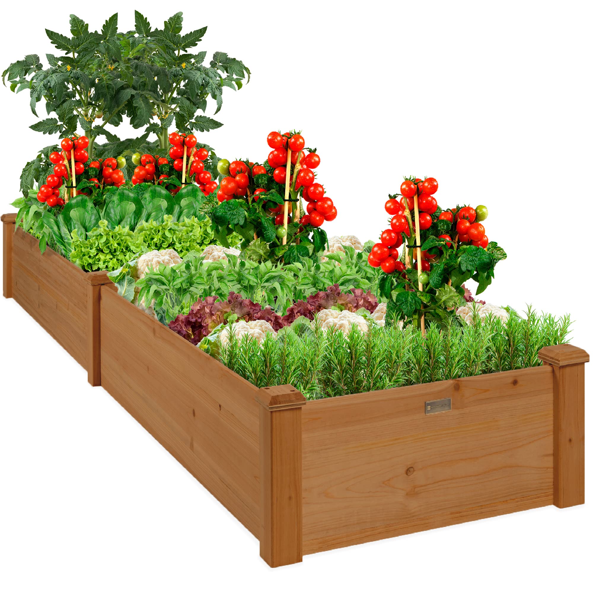 Best Choice Products 8x2ft Wooden Raised Bed
