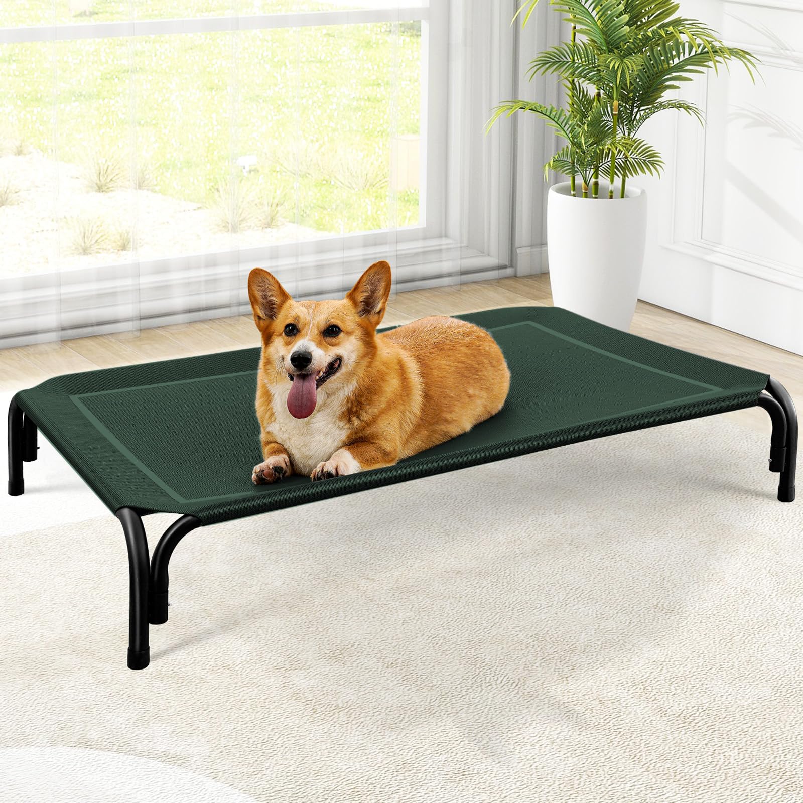 Elevated Outdoor Dog Bed for Medium Dogs