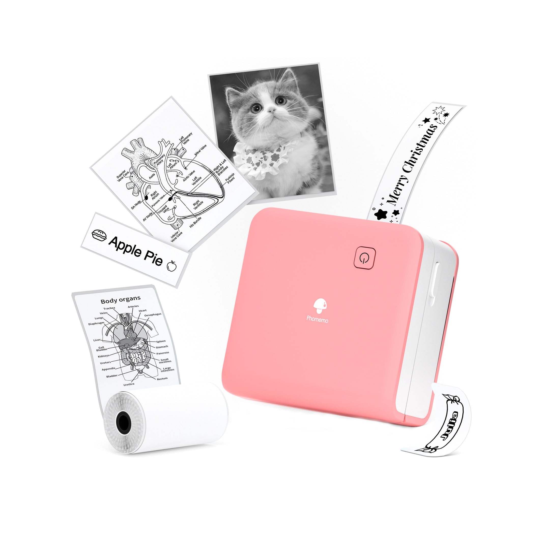 Phomemo M02 Pro Mini Sticker Printer