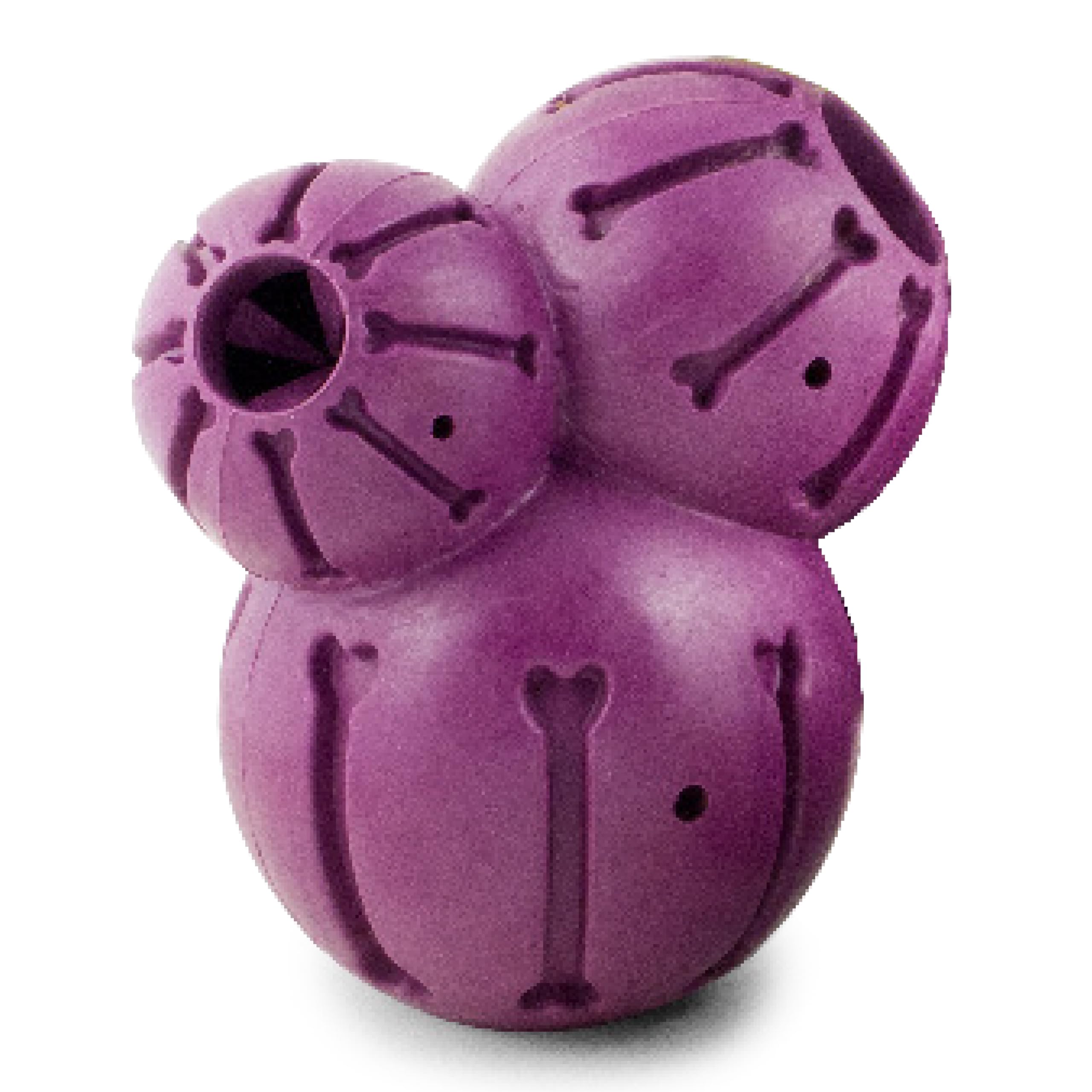 PetSafe Busy Buddy Barnacle