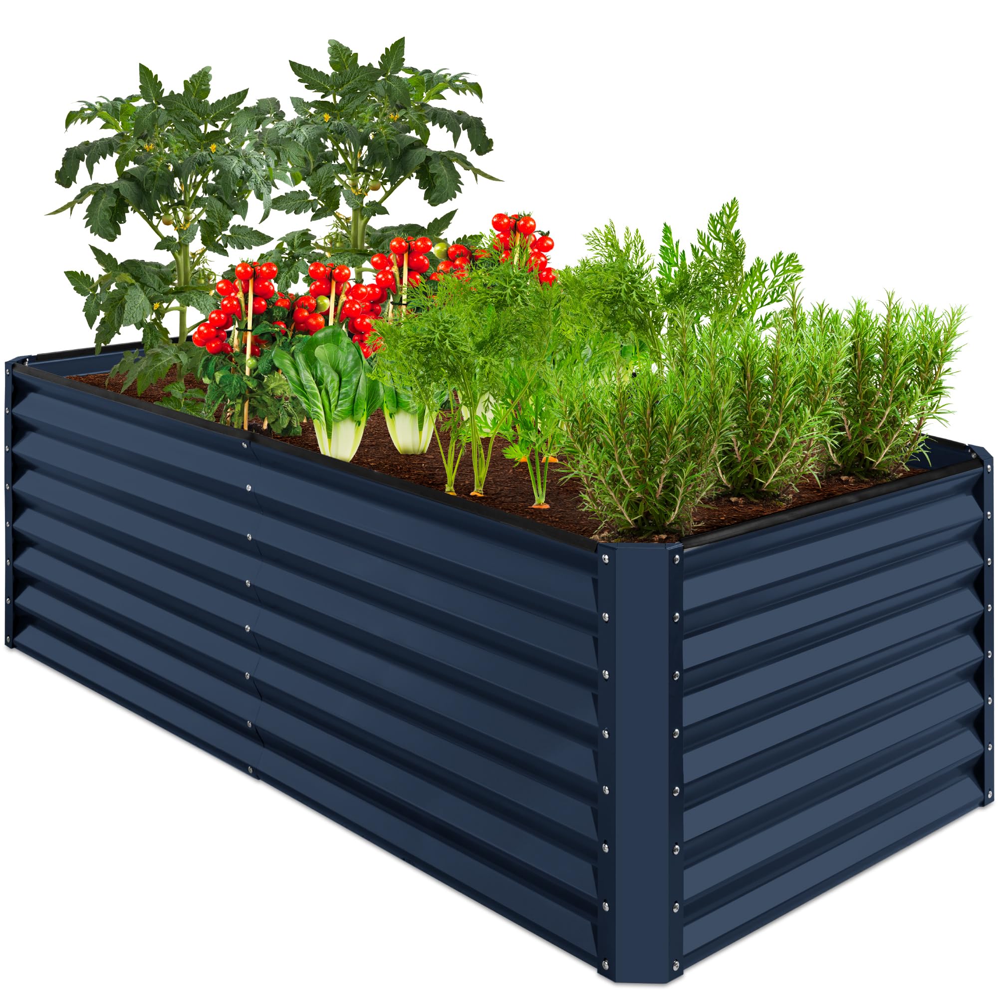Best Choice Products 6x3x2ft Metal Raised Garden Bed