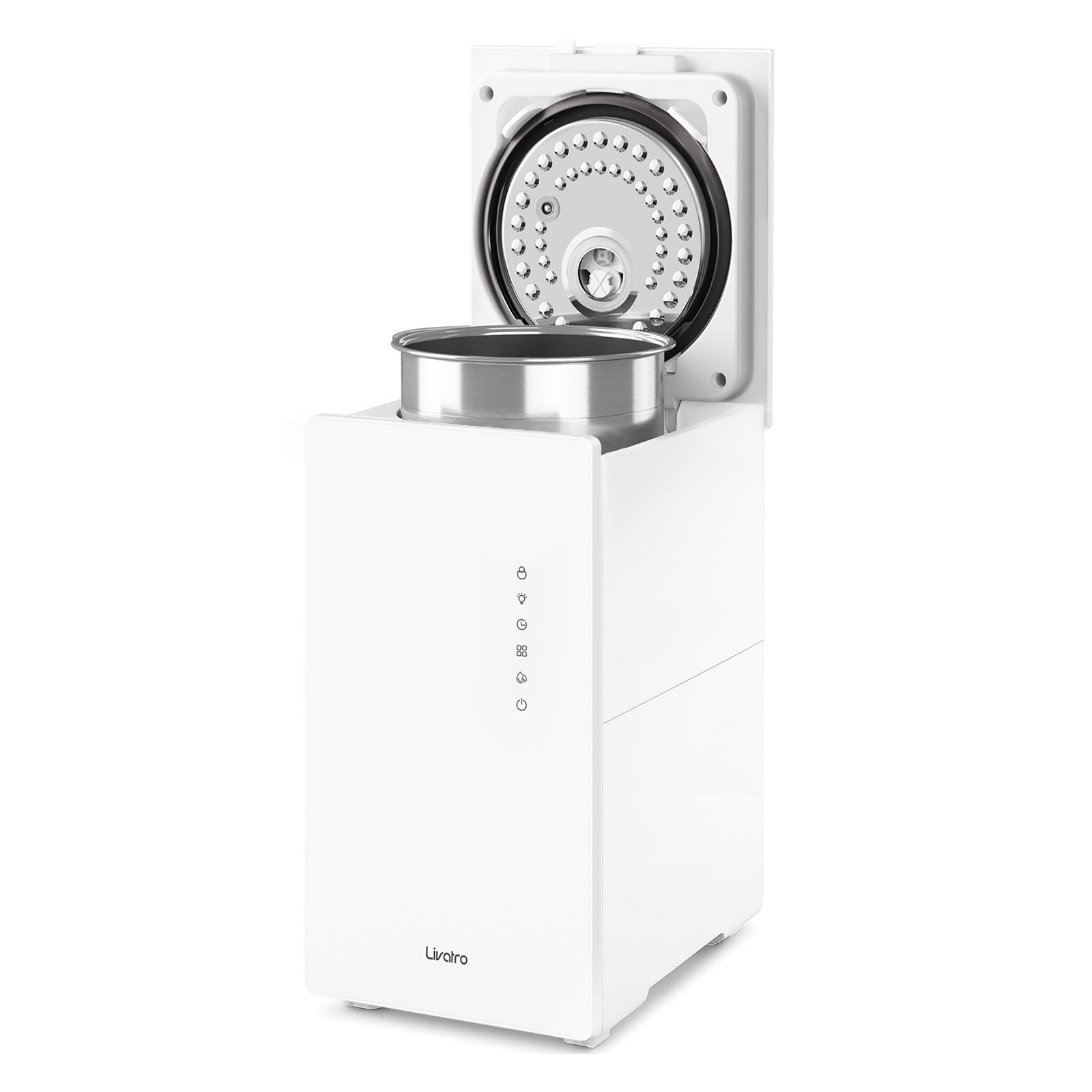 Livatro 6L Stainless Steel Warm Mist Humidifier