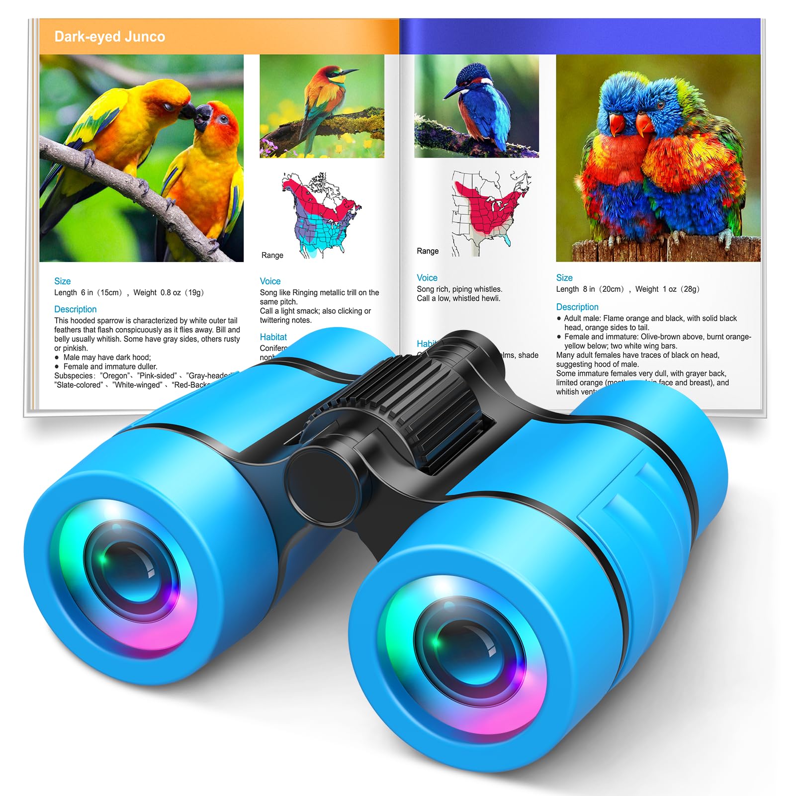 LET'S GO! Kids 4x30 Binoculars and Bird Manual