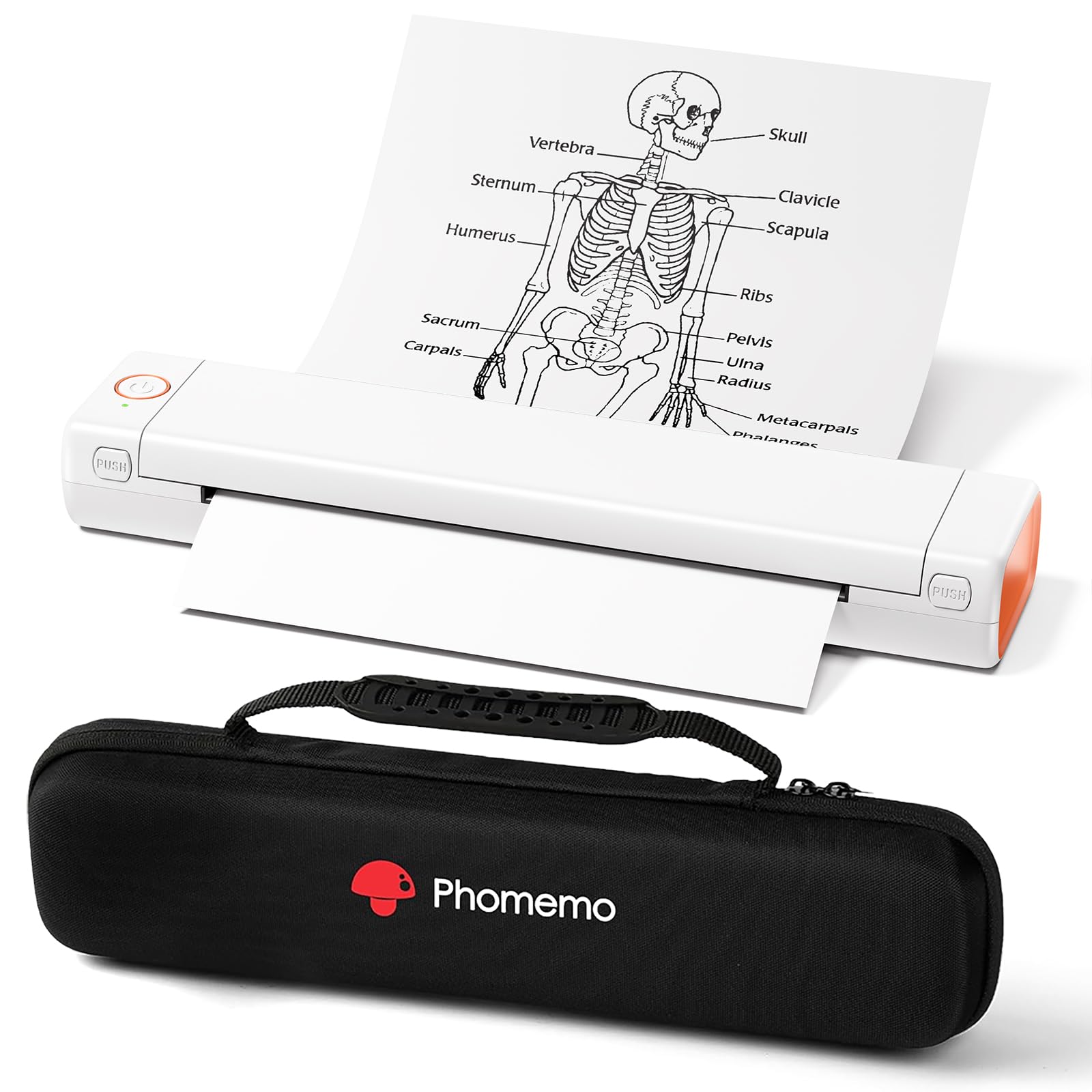 Phomemo M08F Letter