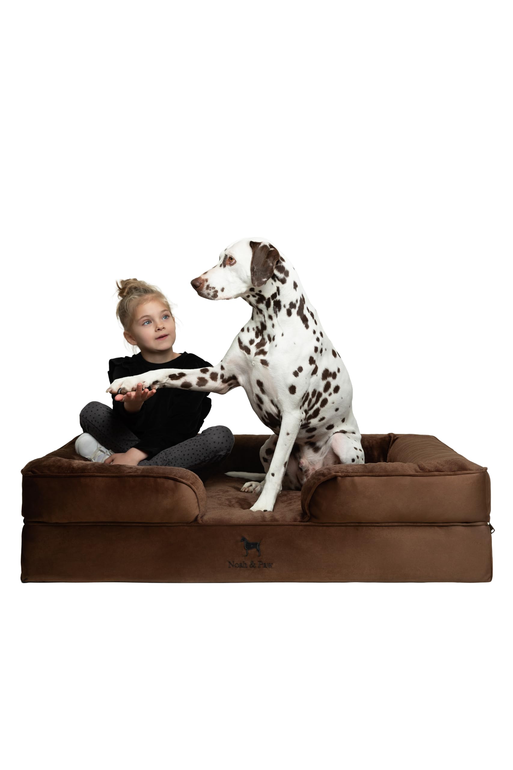 NOAH & PAW XL Orthopedic Dog Bed