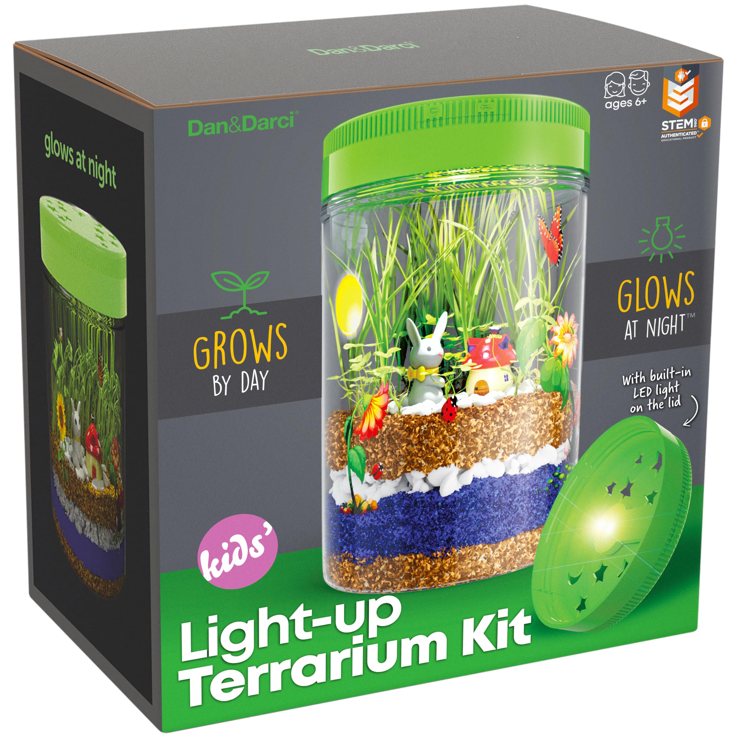 Dan&Darci Light-Up Terrarium Kit
