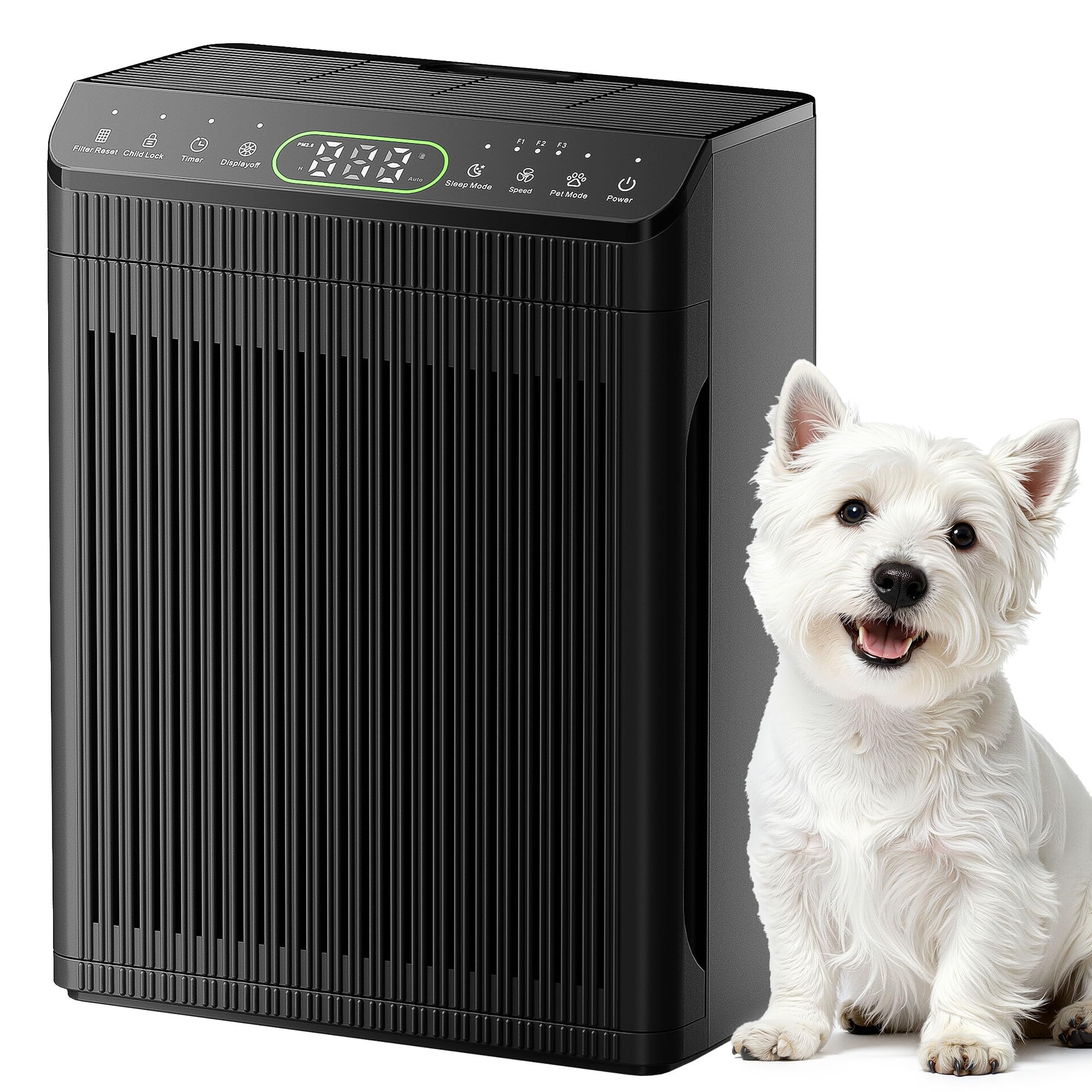 EVALIT Air Purifier for Home