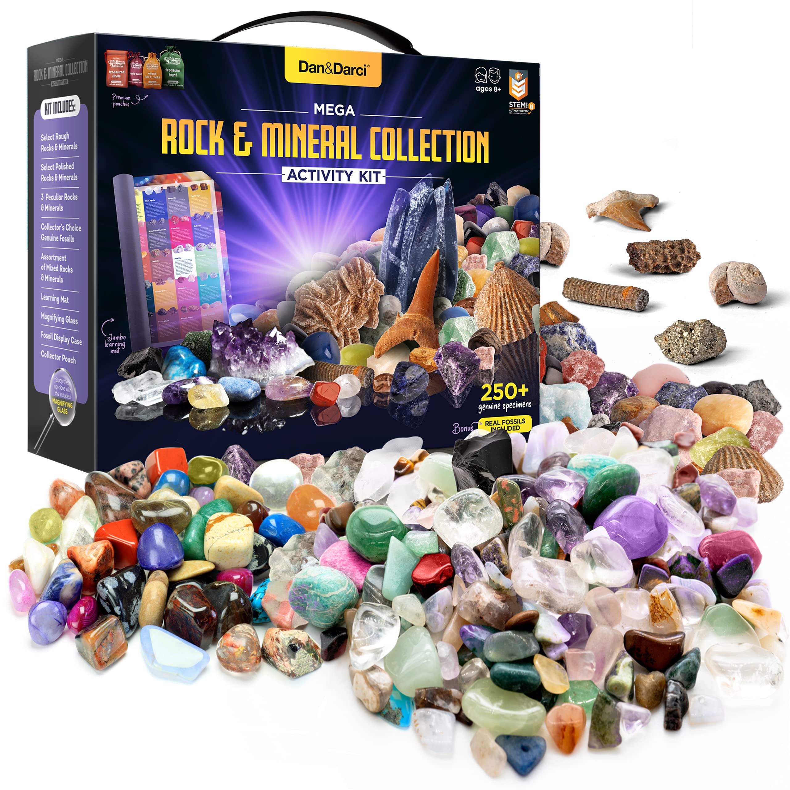 Dan&Darci Rock Collection for Kids