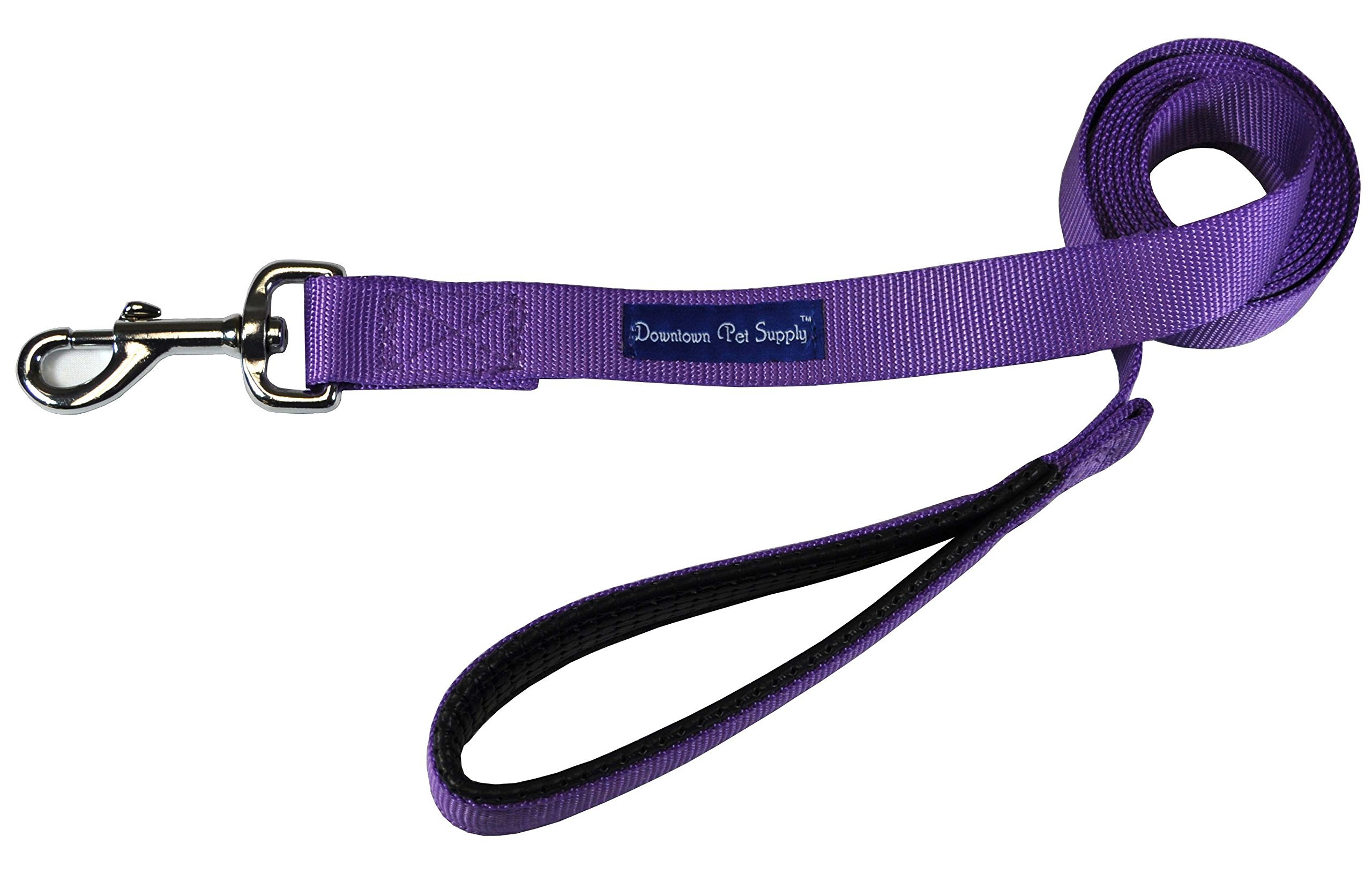 Downtown Pet Supply 6ft Dog Leash