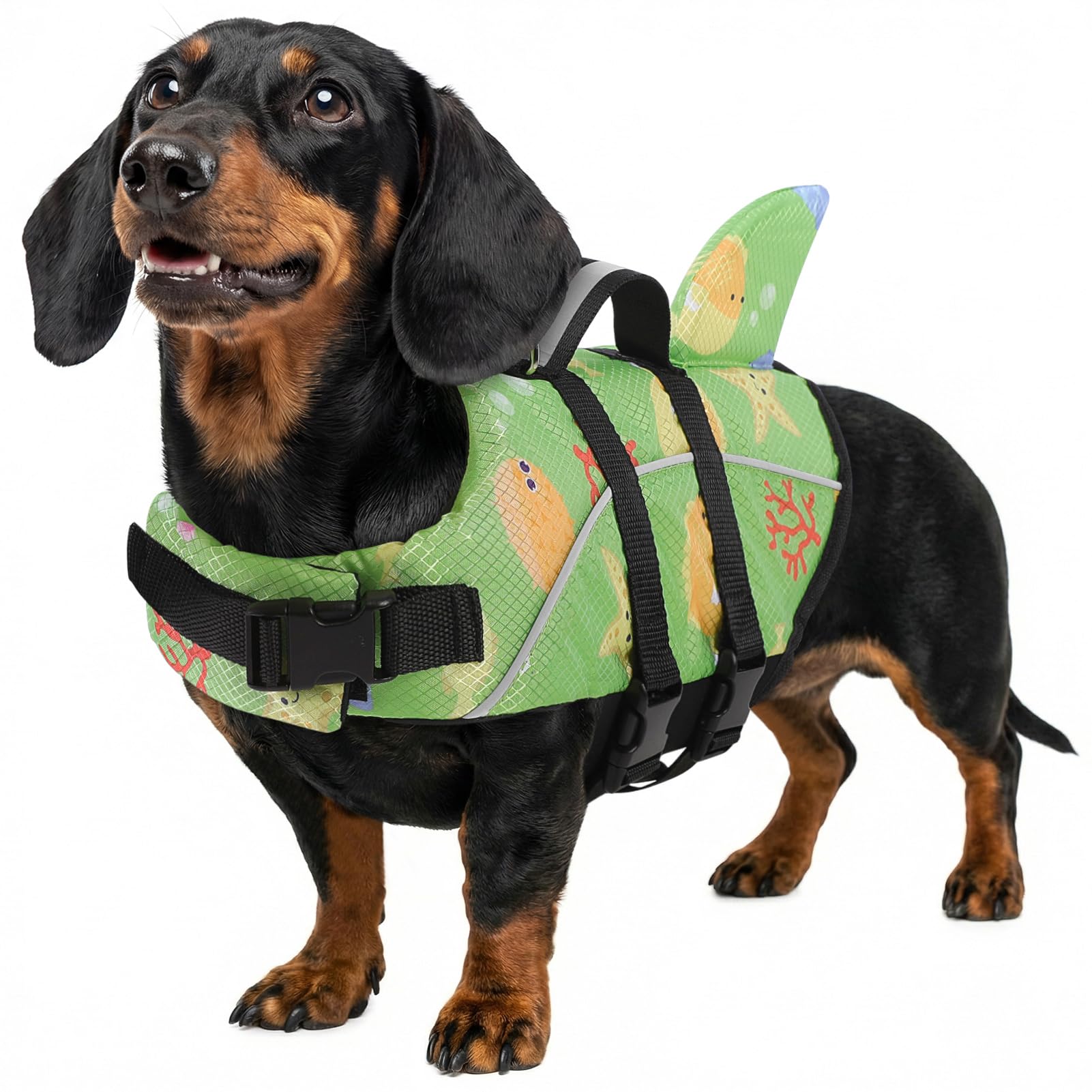 Queenmore Dog Life Jacket