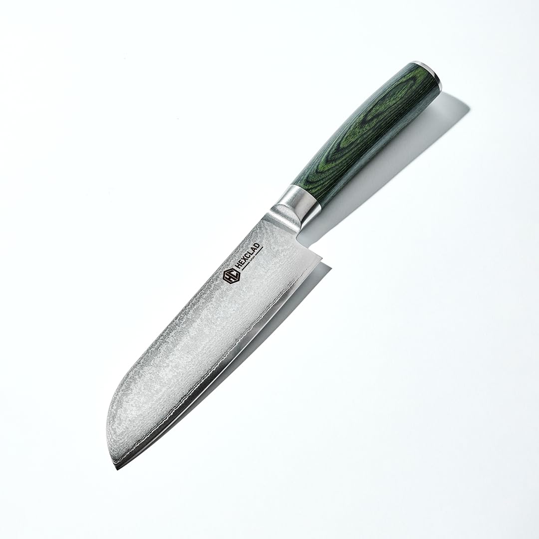 HexClad Japanese Damascus Knife