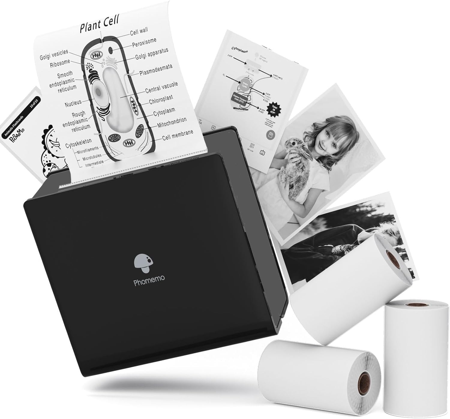 Memoqueen M02 Mini Printer